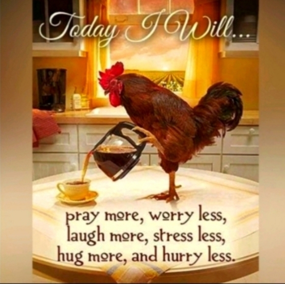 Sigrid Olsen Vee Neck Blouse Knit TOP  Geometric Print  Sz 2X - Picture 3 of 15